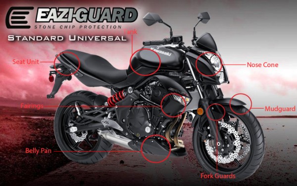 Eazi-Guard Stone Chip Paint Protection Film, Standard DIY-cut Universal Kit